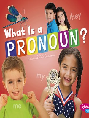 cover image of What Is a Pronoun?